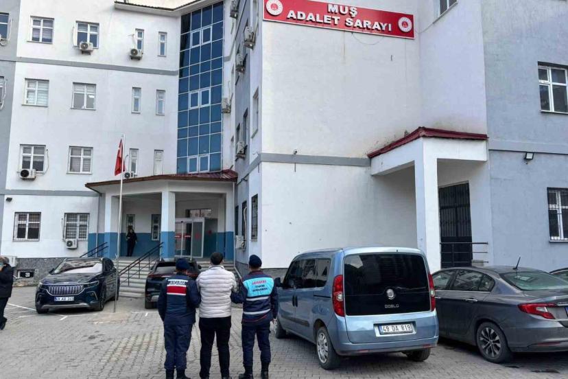 Muş’ta dolandırıcılık suçundan aranan hükümlü yakalandı