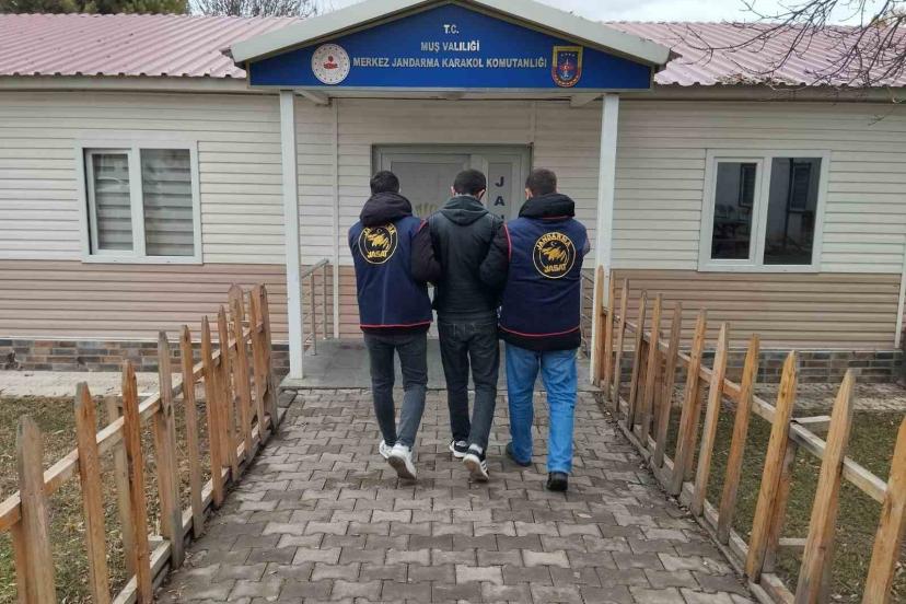 Muş’ta dolandırıcılık suçundan aranan hükümlü yakalandı