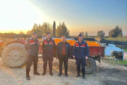 Nazilli’de 1,5 tonluk portakal hırsızlığı jandarmaya takıldı