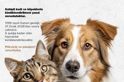 Niğde Belediyesi’nden kedi ve köpek sahiplerine uyarı: Son başvuru 31 Aralık 2025