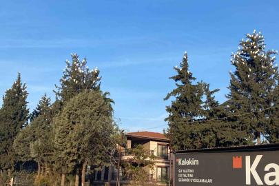 Osmaniye’de sığır balıkçıllarının kış konaklaması ilgi çekiyor