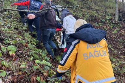 Otomobil ormanlık alana uçtu, 2 yaralı