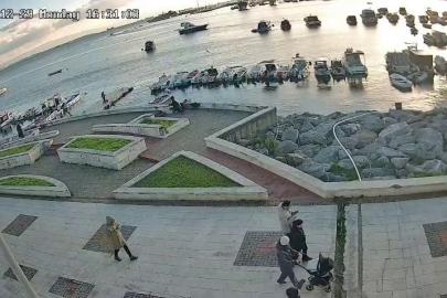 Pendik’te vicdanları sızlatan olay: Kediye tekme atıp denize fırlattı