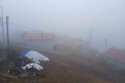 Posof’ta yoğun sis etkiliyor oluyor