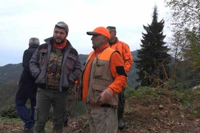Rize’de ayı için sürek avı başlatıldı
