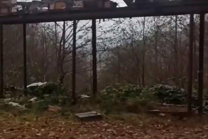 Rize’de ayılara demir profilli tezgah da çare olmadı