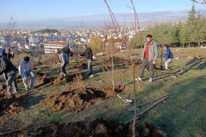 Sandıklılı yarenler badem fidan dikti