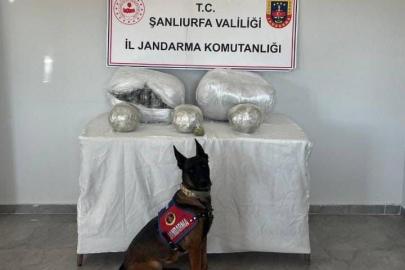 Şanlıurfa’da 25 kilogram uyuşturucu madde ele geçirildi