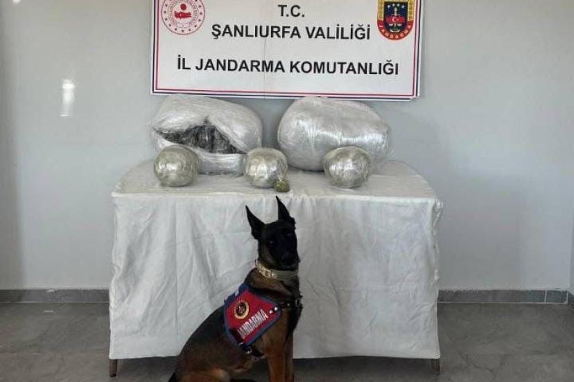 Şanlıurfa’da 25 kilogram uyuşturucu madde ele geçirildi