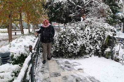 Şanlıurfa’da kar yağışı nedeniyle ağaç devrildi