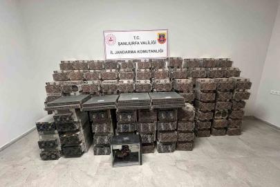 Şanlıurfa’da kripto para madenciliği operasyonu: 2 gözaltı