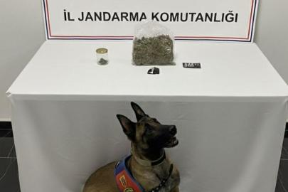 Şanlıurfa’da uyuşturucu operasyonu: 1 gözaltı