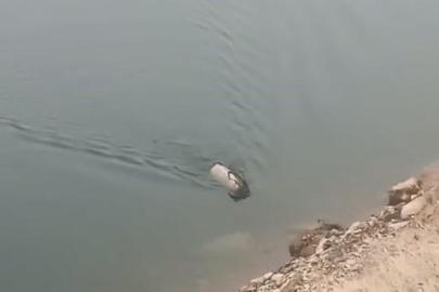 Sarp kayalıkların ustası baraj gölünde yüzerken görüldü