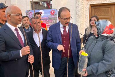 Siirtli çiftçilere 25 bin fıstık ve 4 bin 300 adet Trabzon Hurması fidanı dağıtıldı
