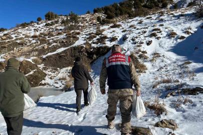 Siirt’te yaban hayvanlarına 750 kilo yem bırakıldı