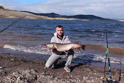 Sındırgı’da dev sazan balığı yakalandı