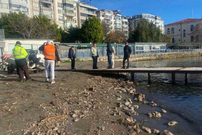 Sinop’ta deniz yüzeyindeki kirlilik vatandaşları endişelendirdi