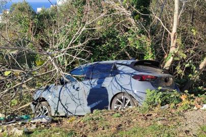 Sinop’ta kontrolden çıkan otomobil ağaçlık alana devrildi