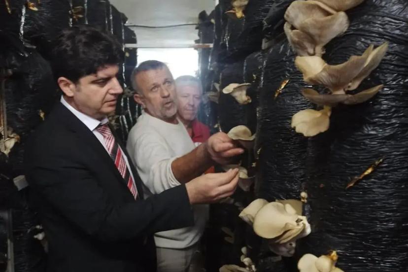 Sinop’ta mantar yetiştiriciliği eğitimi