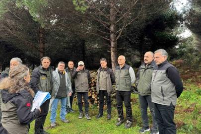 Sinop’ta ormancılık faaliyetleri