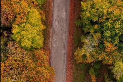 Sinop’ta sonbahar güzelliği