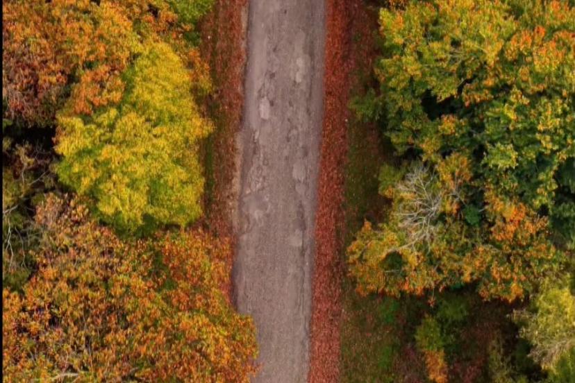 Sinop’ta sonbahar güzelliği