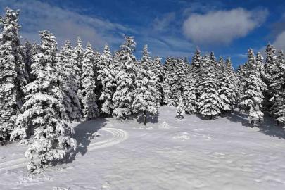 Sinop’tan kar manzaraları