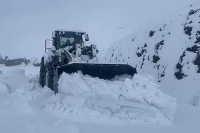 Şırnak’ta kar esareti: Beyaz örtü yarım metreyi geçti