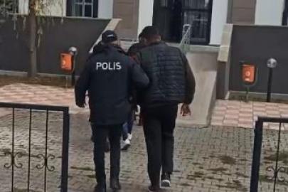 Sivas’ta çaldıkları Kangal köpekleriyle Kayseri’de yakalandılar