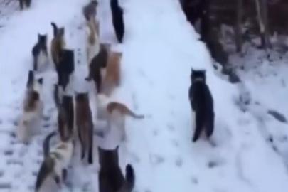 Soğuk kış günlerinde yürek ısıtan görüntüler Erzincan’dan