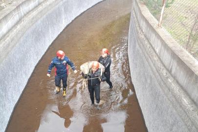 Su kanalına düşen karaca kurtarıldı, itfaiye eri metrelerce omzunda taşıdı