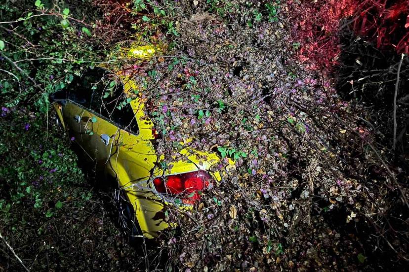 Sürücüsünün içinde olduğu otomobilin üzerine ağaç devrildi