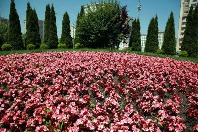 Talas 2026’da rengarenk olacak