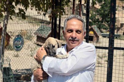 Talas Patievi Doğal Yaşam Alanı 500 can için seçkin bir yuva