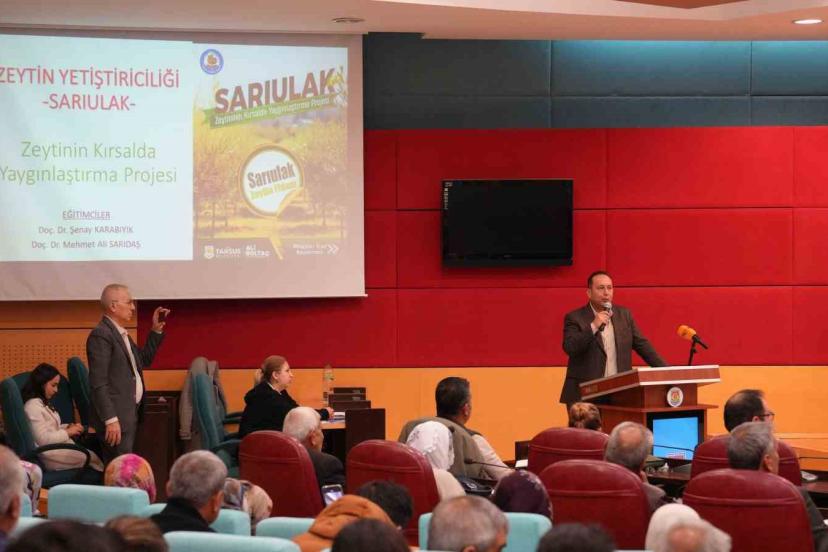 Tarsus’ta Sarıulak zeytini için üreticilere eğitim verildi