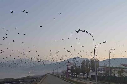 Tatvan sahilinde gökyüzünde sıra dışı manzara