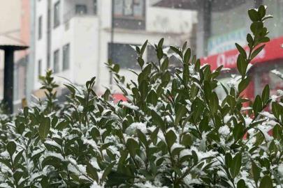 Tatvan’da kar yağışı