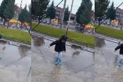 Tavşanlı’da orta refüjdeki ağaca çarpan otomobildeki 2 kişi yaralandı