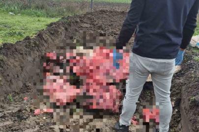 Tekirdağ’da 1 ton menşei belirsiz hayvansal ürün imha edildi