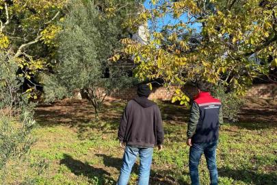 Tekirdağ’da ceviz bahçesinde hastalık ve zararlı kontrolü yapıldı