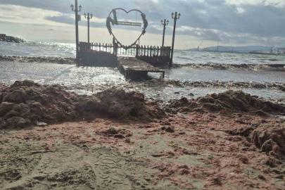 Tekirdağ’da lodos kıyıyı vurdu, kızıl yosunlar sahili kapladı