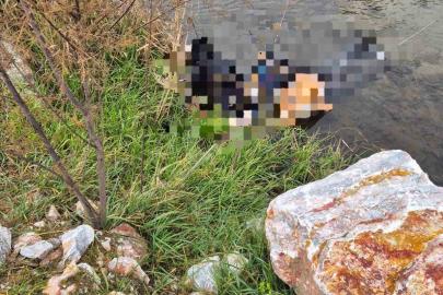 Trenin geçtiği köprüde hayatını kaybetti