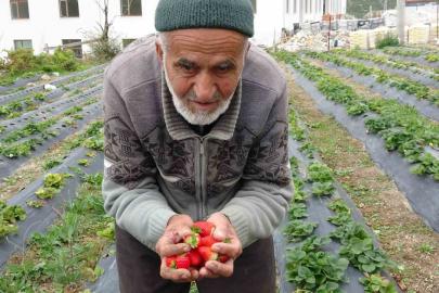 Türkiye onu yoldan geçenlere bahçesinden ikram ettiği meyvelerle tanıdı, bugün acı haber geldi
