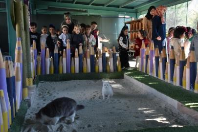 Türkiye’de ilk olan ’Küçük Dostlar Ambulansı’ ile 10 bin 280 can kurtarıldı