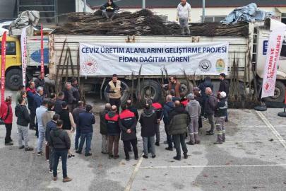 Türkiye’nin ceviz başkenti Denizli’de ceviz fidanı dağıtımı başladı