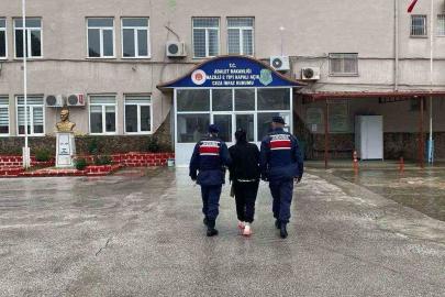 Üç yıl saklandı, kilerde yakalandı