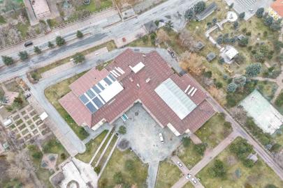 Ulu çınarların yuvası yenileniyor