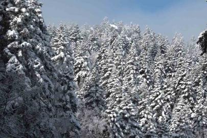 Uludağ’da göz gözü görmüyor