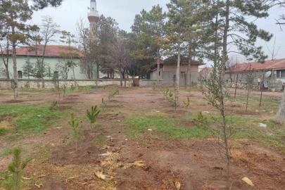 Umraniye köylüleri 300 adet fidanı okul ve camii bahçesine diktiler