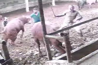 Üzerine zıplayan boğanın darbesiyle yere serildi: O anlar kamerada